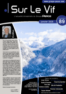 SLV 89 BD